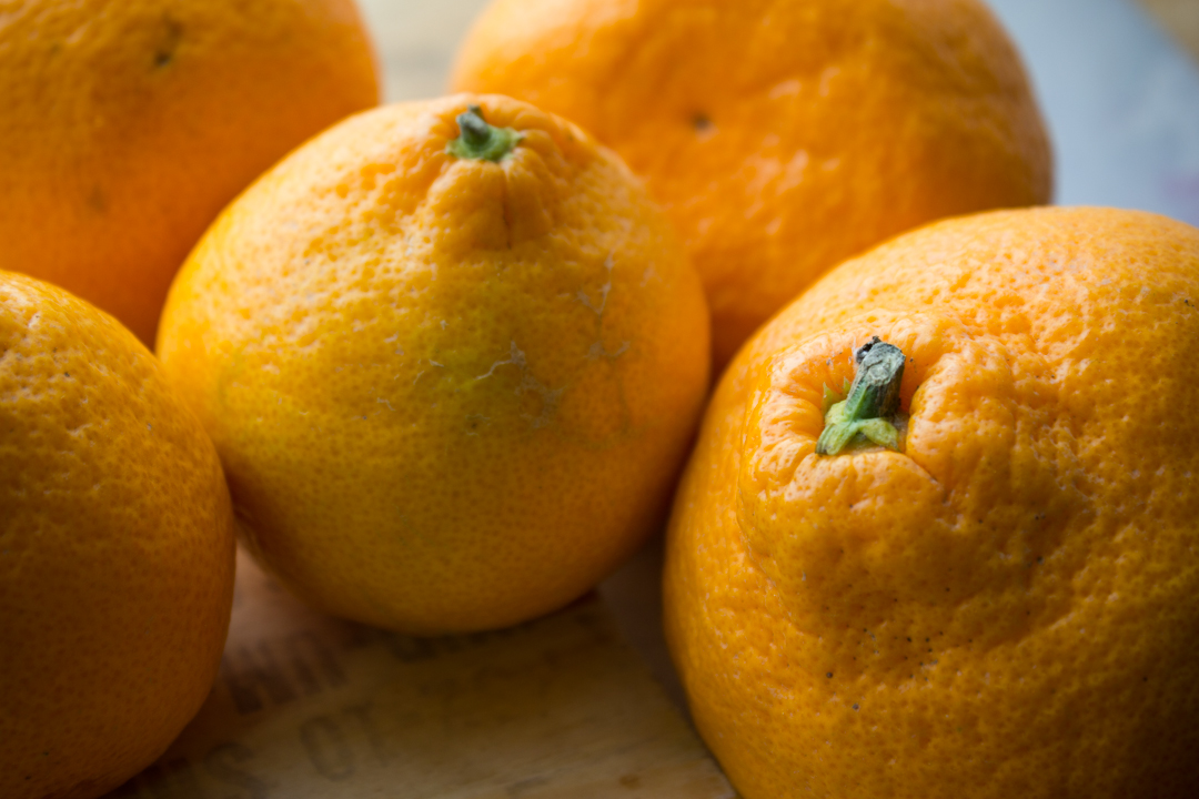 satsuma_mandarin_multiple2_1080px